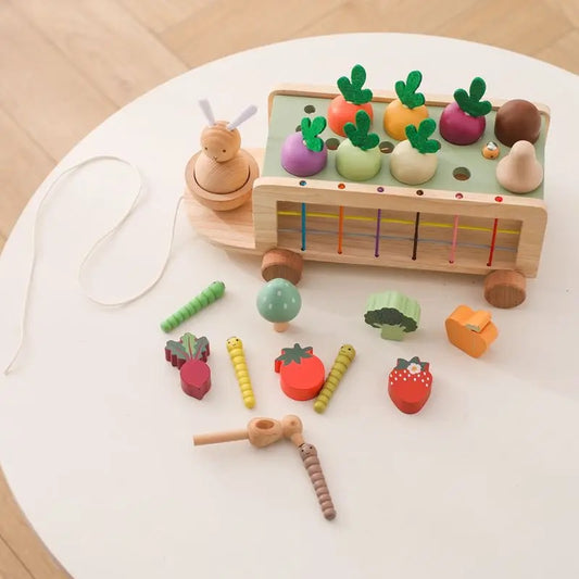 Montessori Shape Sorter