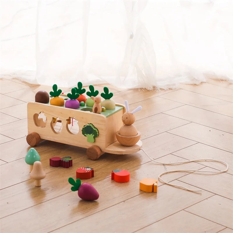 Wooden Shape Sorter